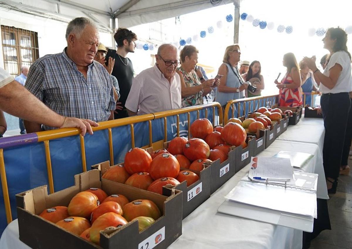 Imagen secundaria 1 - 'Bull's balls' reign supreme at Coín's tomato festival