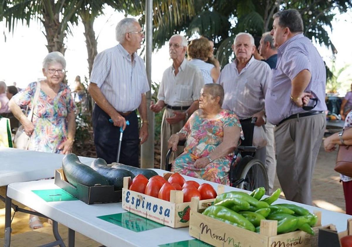 Imagen principal - 'Bull's balls' reign supreme at Coín's tomato festival