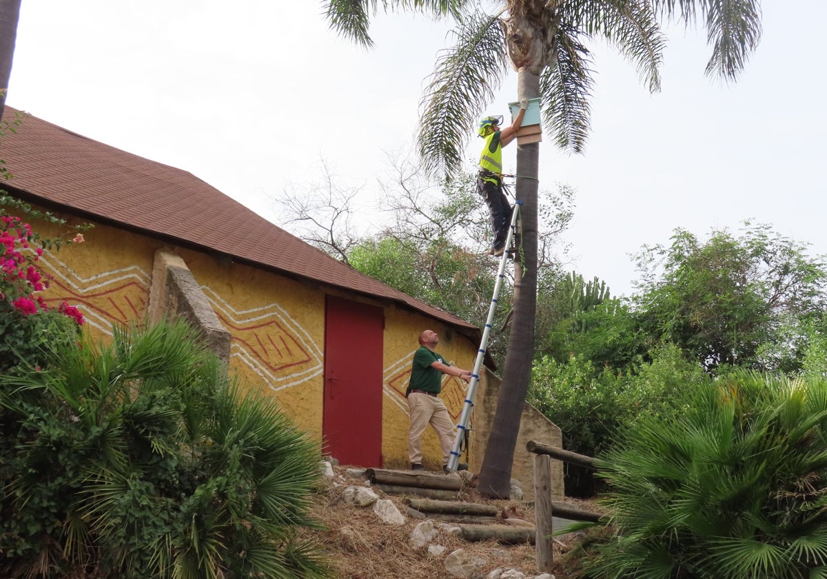 Installation of the bat shelters at Selwo Estepona.